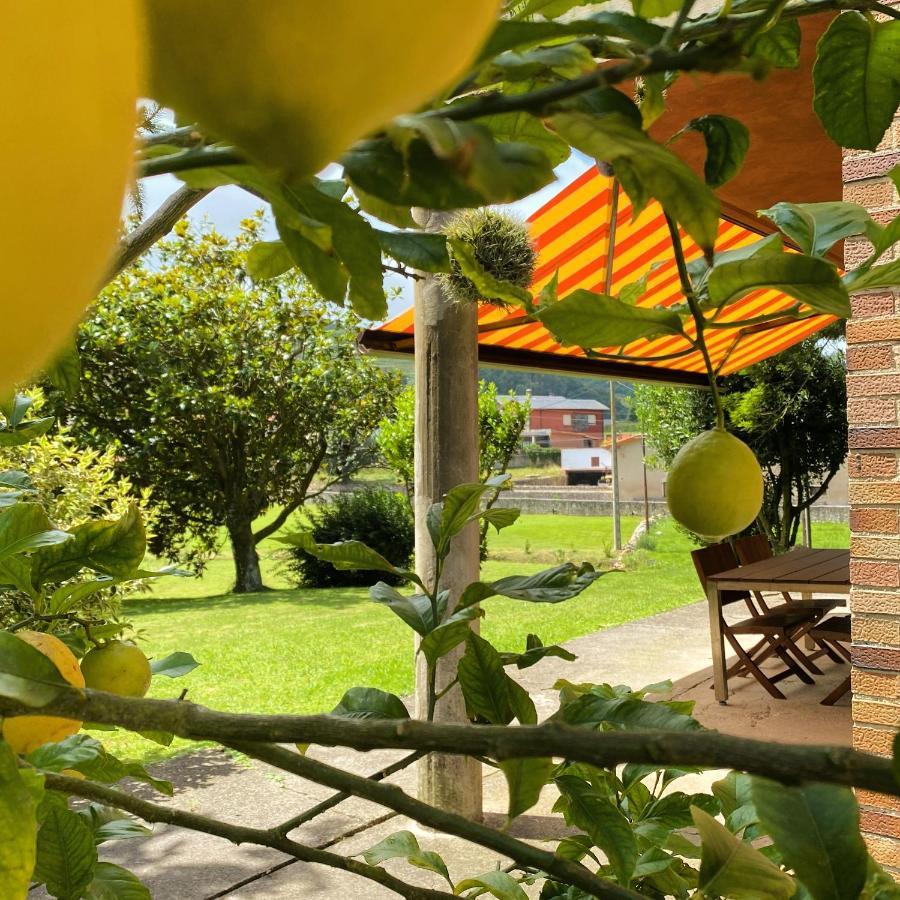 Apartamentos La Roblera 오레냐 외부 사진